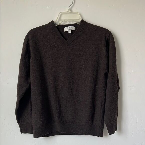 Turnbury Men's Extra Fine Merino Wool V-Neck Sweater Brown XLT Tall